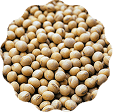Soybeans