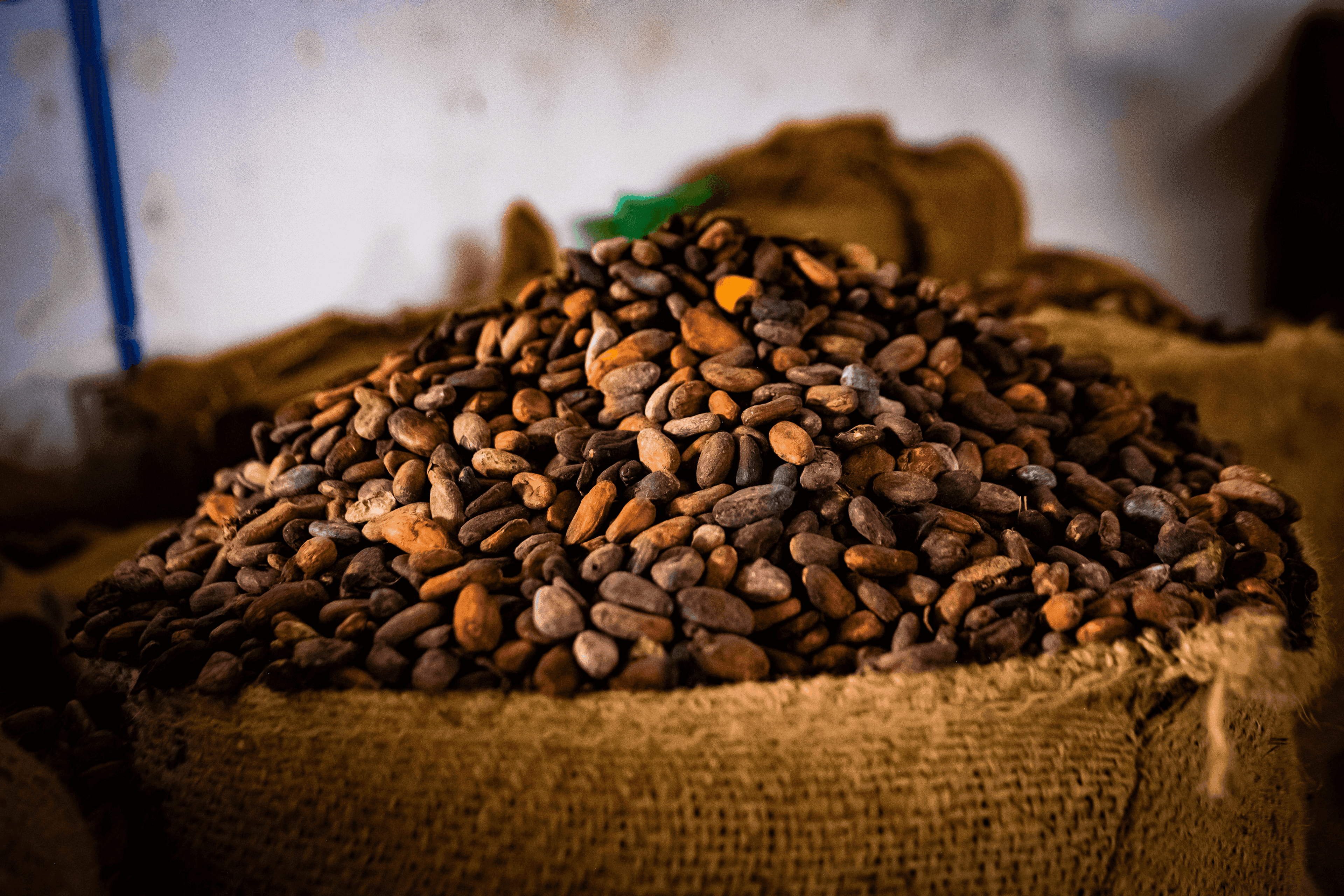 To sustainability assurance