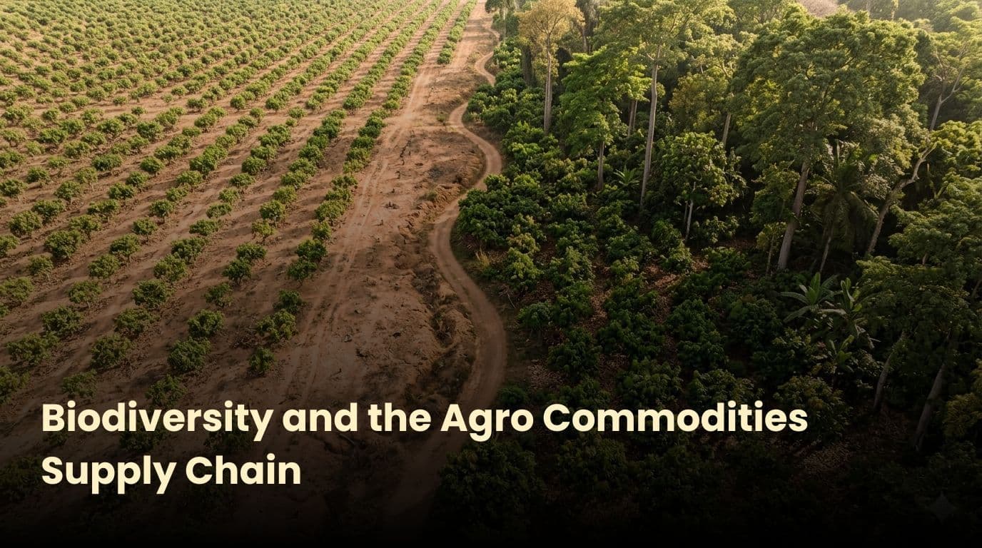 Rethinking the Relationship Between Biodiversity and Agro Commodities Supply