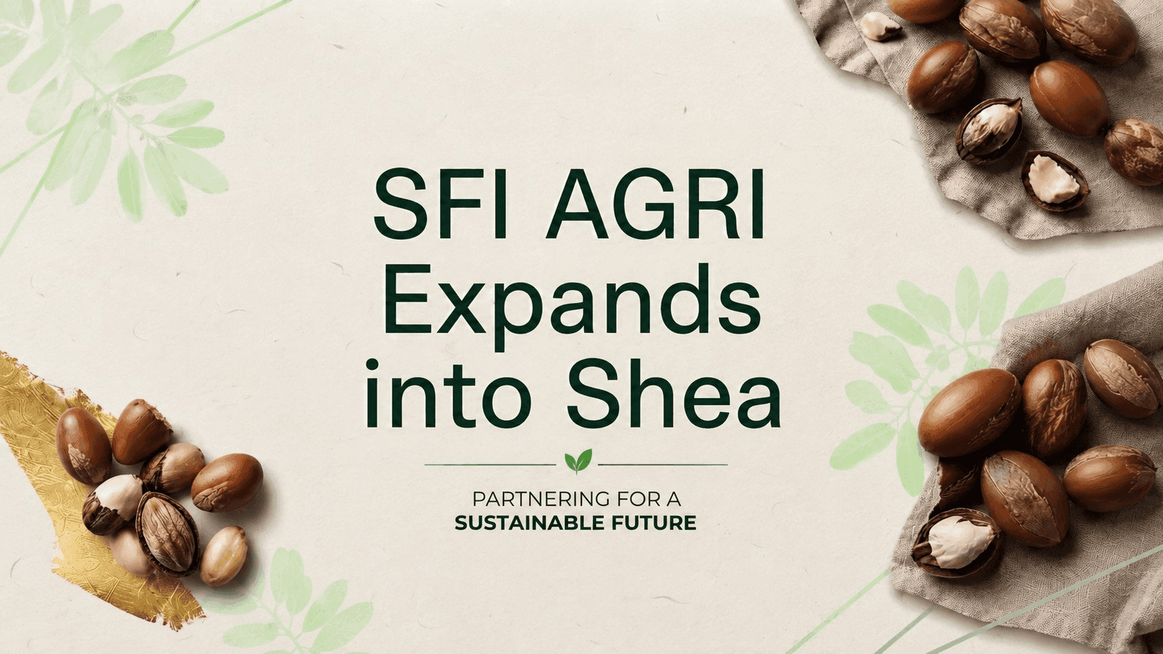 SFI AGRI Expands into Shea: Why Shea, and Why Now?
